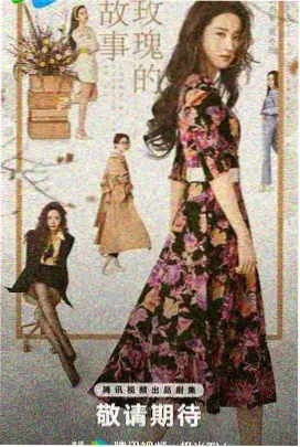 傲骨贤妻 电影海报
